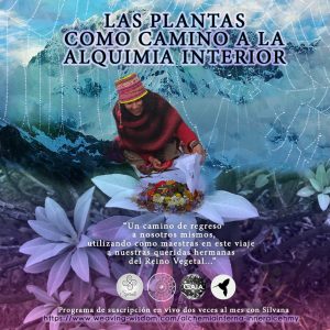 Plantas Camino hacia la Alquimia Interna