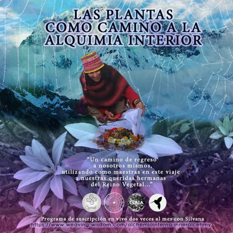 Plantas Camino hacia la Alquimia Interna
