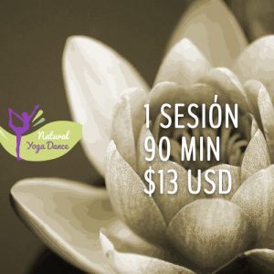 1 SESIÓN "Natural Yoga Danza"