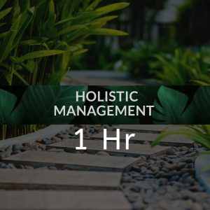 1 HORA - HOLISTIC MANAGEMENT  $30 USD