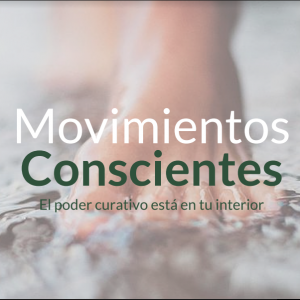 Movimientos Conscientes - 100,00 USD