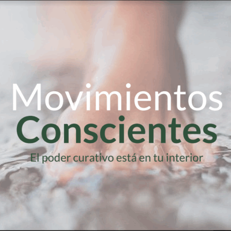 Movimientos Conscientes - 100,00 USD