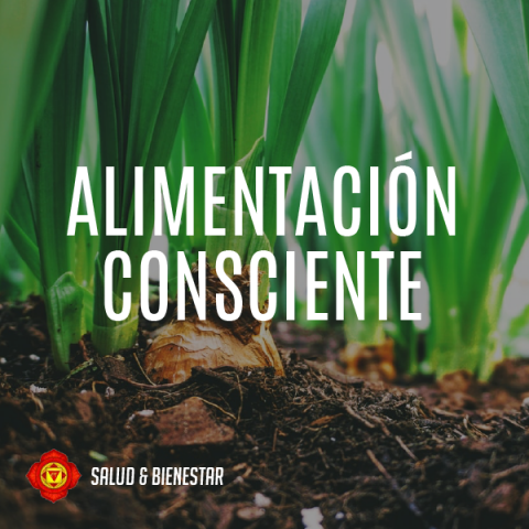 Alimentación Consciente
