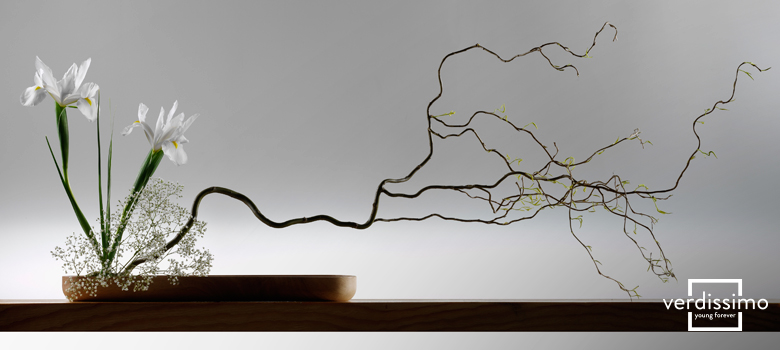 ¿QUÉ ES EL IKEBANA Y POR QUÉ NECESITAS TENERLO EN CASA?