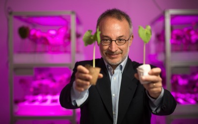 NEUROBIÓLOGO DE LA UNIVERSIDAD DE FLORENCIA: «LAS PLANTAS TIENEN NUESTROS CINCO SENTIDOS Y QUINCE MÁS»