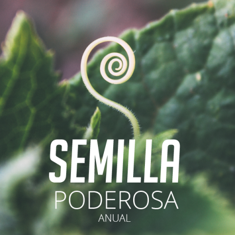 Membresía Semilla Anual