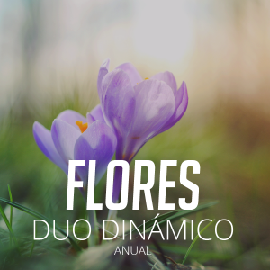 Membresía Flores Anual