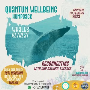 Save your spot! Quantum Well Being. Humpback Whales Retreat (50%)
