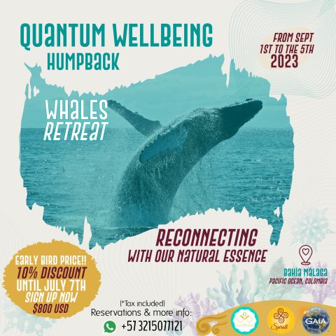 Save your spot! Quantum Well Being. Humpback Whales Retreat (50%)